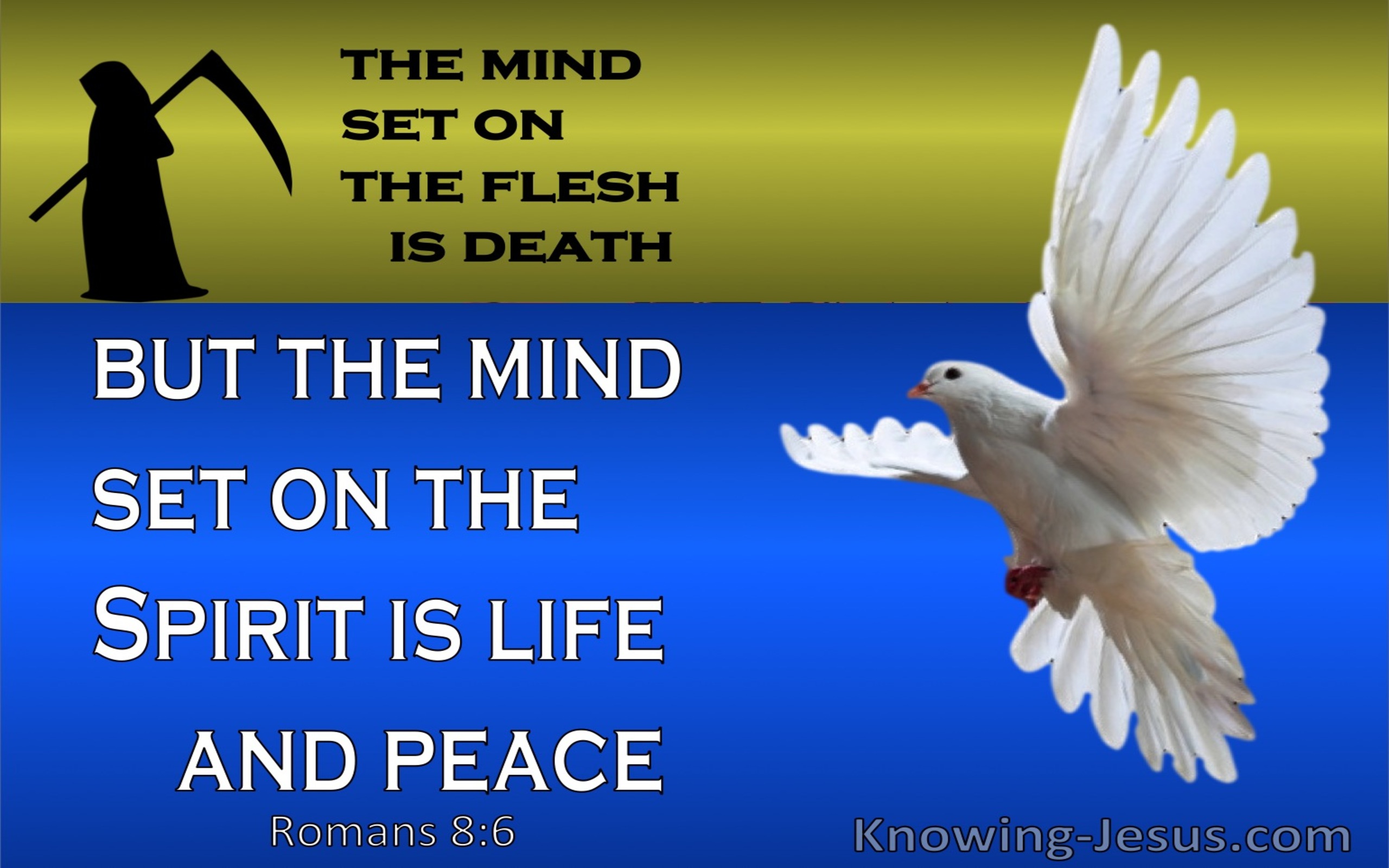 Romans 8:6 The mind set on the spirit is life and peace (blue)